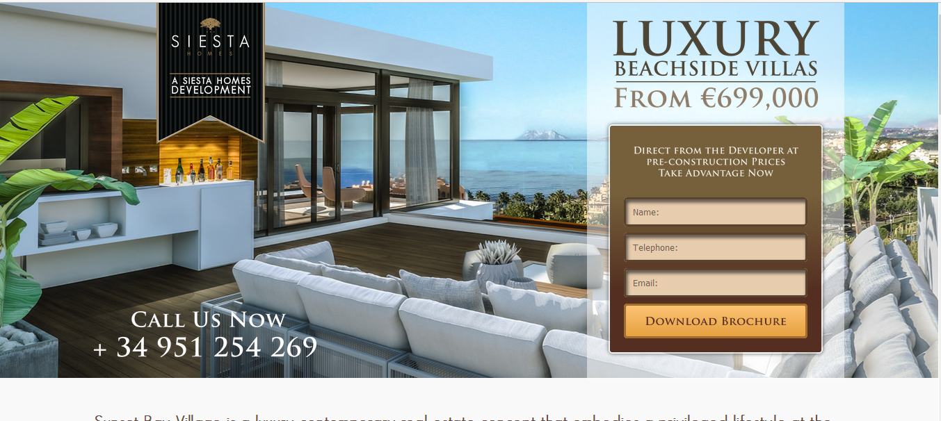 dynamic real estate website development