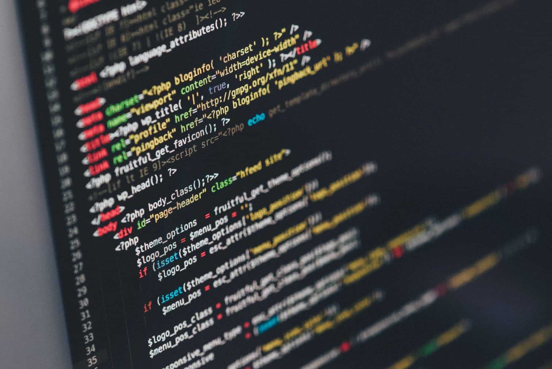 coding web development