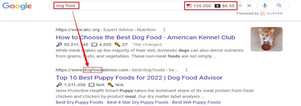 keyword in domain